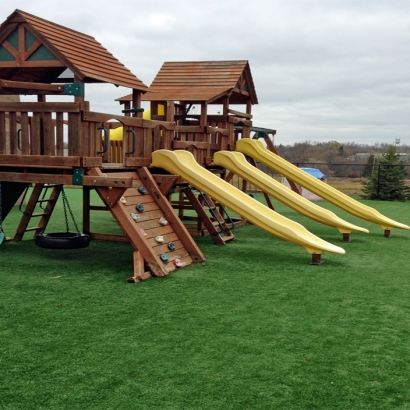 Artificial Turf Cost Littleton, Colorado Playground Safety, Commercial Landscape