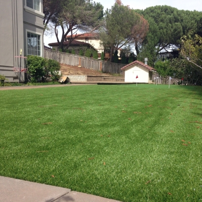 Artificial Turf Cost Nucla, Colorado Home Putting Green, Backyard
