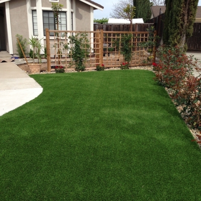 Artificial Turf Cost Sedgwick, Colorado Landscape Photos, Front Yard