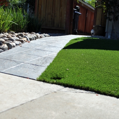 Artificial Turf Installation Cortez, Colorado Landscaping Business, Front Yard Ideas