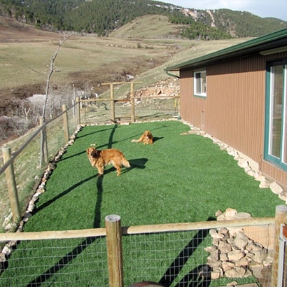 Artificial Turf Installation Gunbarrel, Colorado Drainage, Backyard Ideas