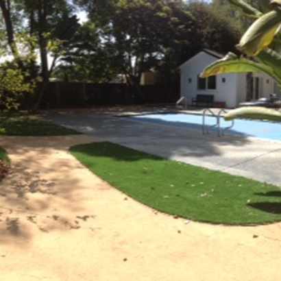 Best Artificial Grass Colona, Colorado Landscape Rock, Backyard Landscaping Ideas