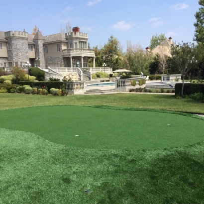 Best Artificial Grass Columbine, Colorado How To Build A Putting Green, Front Yard