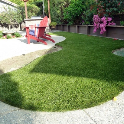 Fake Grass Carpet Eads, Colorado Dog Running, Beautiful Backyards