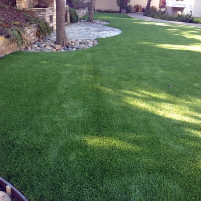 Fake Grass Carpet Lochbuie, Colorado Gardeners, Backyard Landscaping