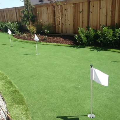 Fake Grass Carpet Nunn, Colorado How To Build A Putting Green, Backyard Landscaping