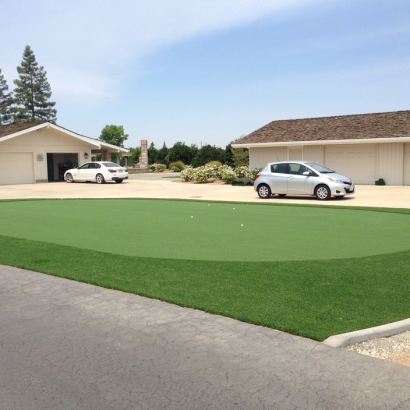 Fake Grass Carpet Pierce, Colorado Landscape Photos, Front Yard Landscaping