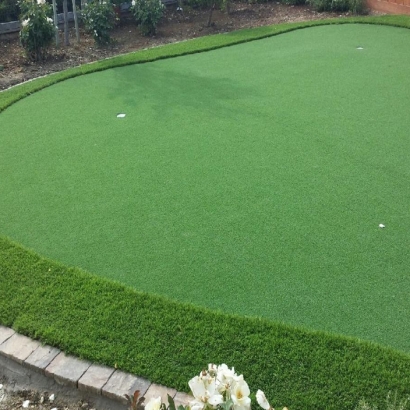 Fake Grass Carpet Salida, Colorado Putting Greens, Small Backyard Ideas