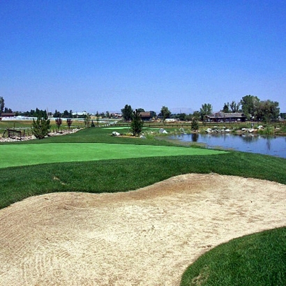 Fake Grass Del Norte, Colorado Indoor Putting Green, Backyard