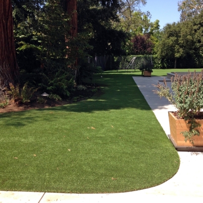 Fake Grass Hot Sulphur Springs, Colorado Cat Grass, Front Yard Landscaping Ideas