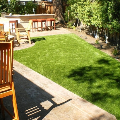 Fake Grass Mead, Colorado Landscape Photos, Backyard Designs