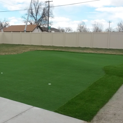 Fake Grass Ovid, Colorado Backyard Putting Green, Backyard Landscape Ideas
