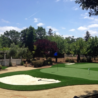 Fake Lawn Nunn, Colorado Putting Green Carpet, Landscaping Ideas For Front Yard