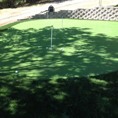 Fake Turf Carriage Club, Colorado Putting Green Carpet, Backyard Landscaping Ideas