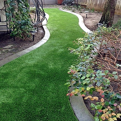 Fake Turf Cattle Creek, Colorado Backyard Playground, Backyard Design