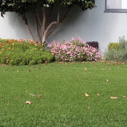 Fake Turf Haxtun, Colorado Garden Ideas, Landscaping Ideas For Front Yard