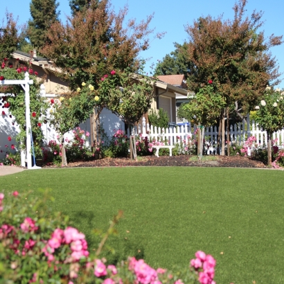 Faux Grass Valmont, Colorado Landscaping, Front Yard Landscape Ideas