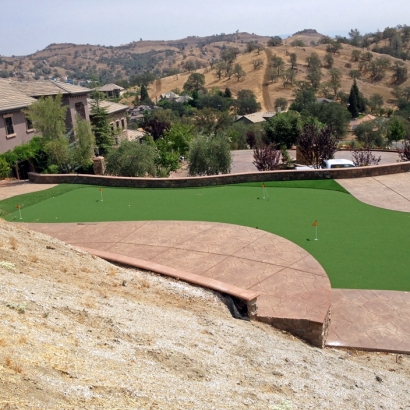 Grass Carpet Divide, Colorado Home Putting Green, Small Backyard Ideas