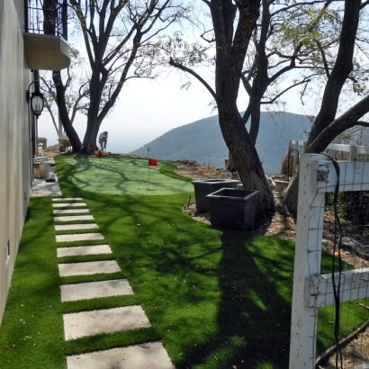 Grass Carpet Vilas, Colorado Putting Green Carpet, Backyard Landscaping