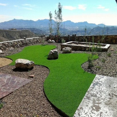 Grass Installation Kirk, Colorado Pet Turf, Backyard Landscape Ideas
