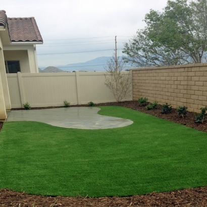 Grass Turf Chacra, Colorado Landscaping, Backyard Ideas