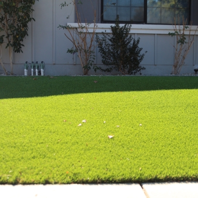 Grass Turf Laird, Colorado Lawn And Garden, Front Yard Landscaping Ideas