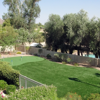 Grass Turf Minturn, Colorado Backyard Putting Green, Small Backyard Ideas