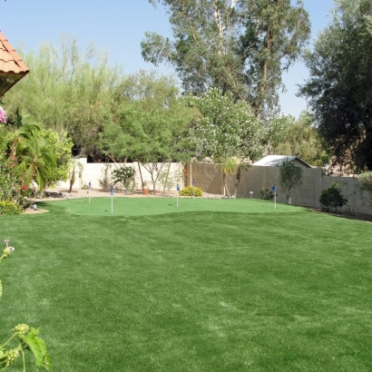 Grass Turf Minturn, Colorado Backyard Putting Green, Small Backyard Ideas
