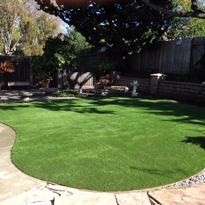 Grass Turf Sugar City, Colorado Roof Top, Backyard Landscaping Ideas