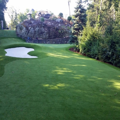 Green Lawn Gilcrest, Colorado Indoor Putting Green, Commercial Landscape