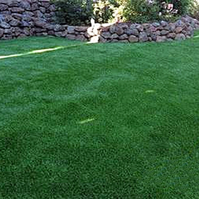 Green Lawn Haxtun, Colorado Landscape Ideas, Backyard Landscaping