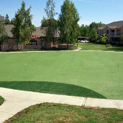 Green Lawn Monte Vista, Colorado Backyard Putting Green, Commercial Landscape