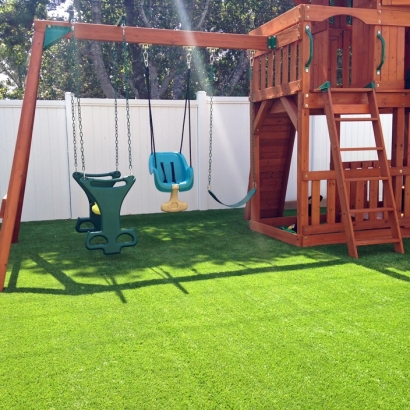 Green Lawn Swink, Colorado Landscaping, Backyard Design