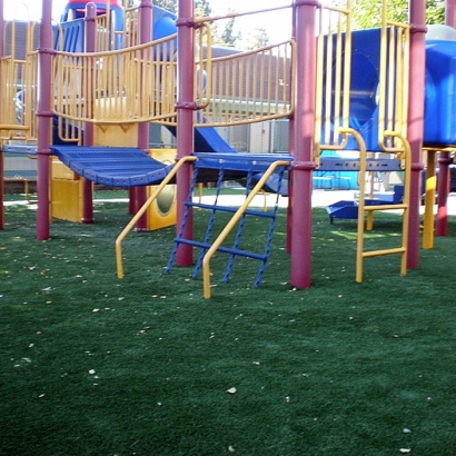 Green Lawn Victor, Colorado Playground Turf, Commercial Landscape