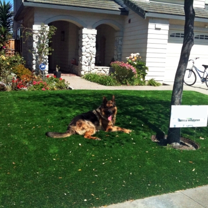 Lawn Services Idledale, Colorado Roof Top, Front Yard Design