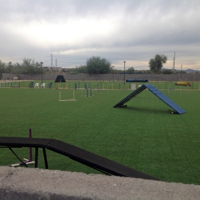 Lawn Services Laird, Colorado Sports Athority, Recreational Areas