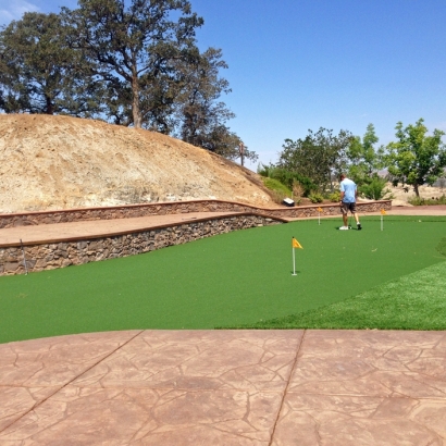 Outdoor Carpet Burlington, Colorado Best Indoor Putting Green, Backyard Landscaping