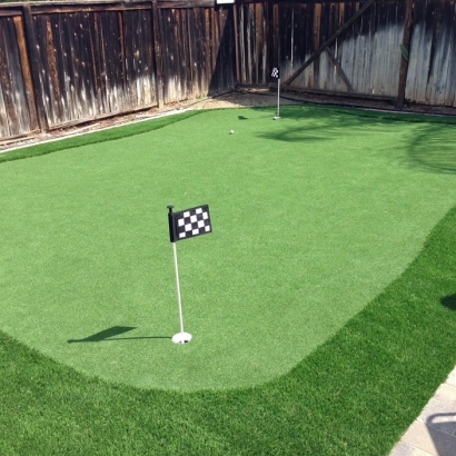 Outdoor Carpet Leyner, Colorado Best Indoor Putting Green, Backyard Landscape Ideas