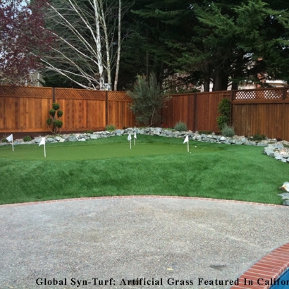 Plastic Grass Sheridan, Colorado Best Indoor Putting Green, Backyard Landscaping Ideas