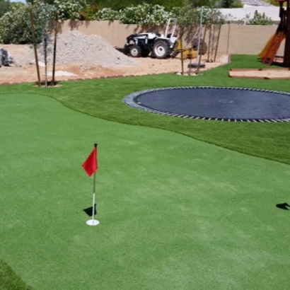 Plastic Grass Stonewall Gap, Colorado Indoor Putting Greens, Backyards