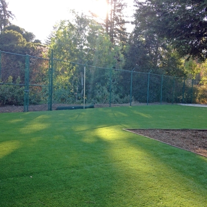 Plastic Grass Stratton, Colorado Paver Patio, Parks