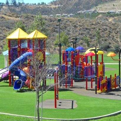 Plastic Grass Williamsburg, Colorado Indoor Playground, Recreational Areas