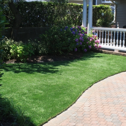 Synthetic Grass Cost Dove Valley, Colorado Pet Paradise, Front Yard