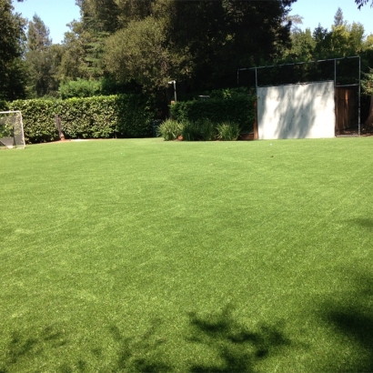 Synthetic Grass Cost East Pleasant View, Colorado Sports Athority, Backyard Ideas