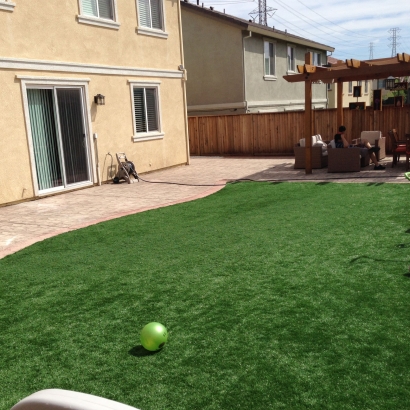 Synthetic Grass Cost Montrose, Colorado Kids Indoor Playground, Beautiful Backyards