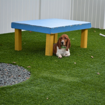 Synthetic Grass Cost South Fork, Colorado Pet Grass, Dogs Runs