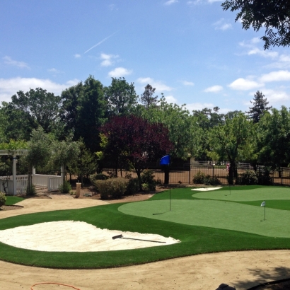 Synthetic Grass Georgetown, Colorado Putting Green Carpet, Front Yard Landscape Ideas