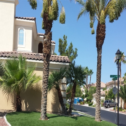 Synthetic Grass Otis, Colorado Rooftop, Front Yard Landscaping Ideas
