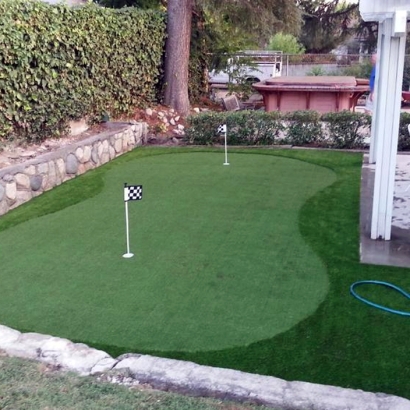 Synthetic Lawn Englewood, Colorado Best Indoor Putting Green, Backyard Landscaping Ideas