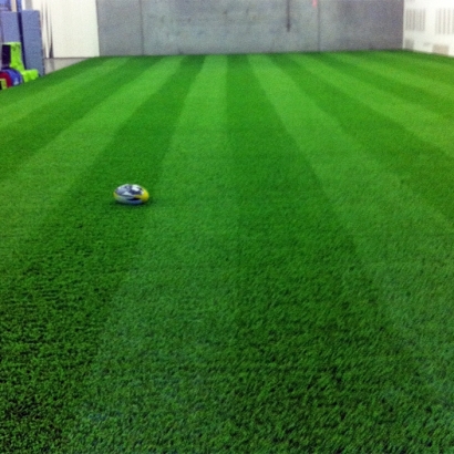 Synthetic Lawn Florence, Colorado Sports Turf